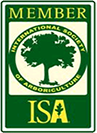 Mr Tree | Tree Service in Las Vegas and Henderson | Certified Arborist | Testimonials