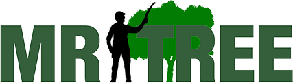 Mr Tree | Tree Service in Las Vegas and Henderson | Certified Arborist | Testimonials