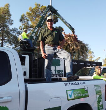 Mr Tree | Tree Service in Las Vegas and Henderson | Certified Arborist | Home