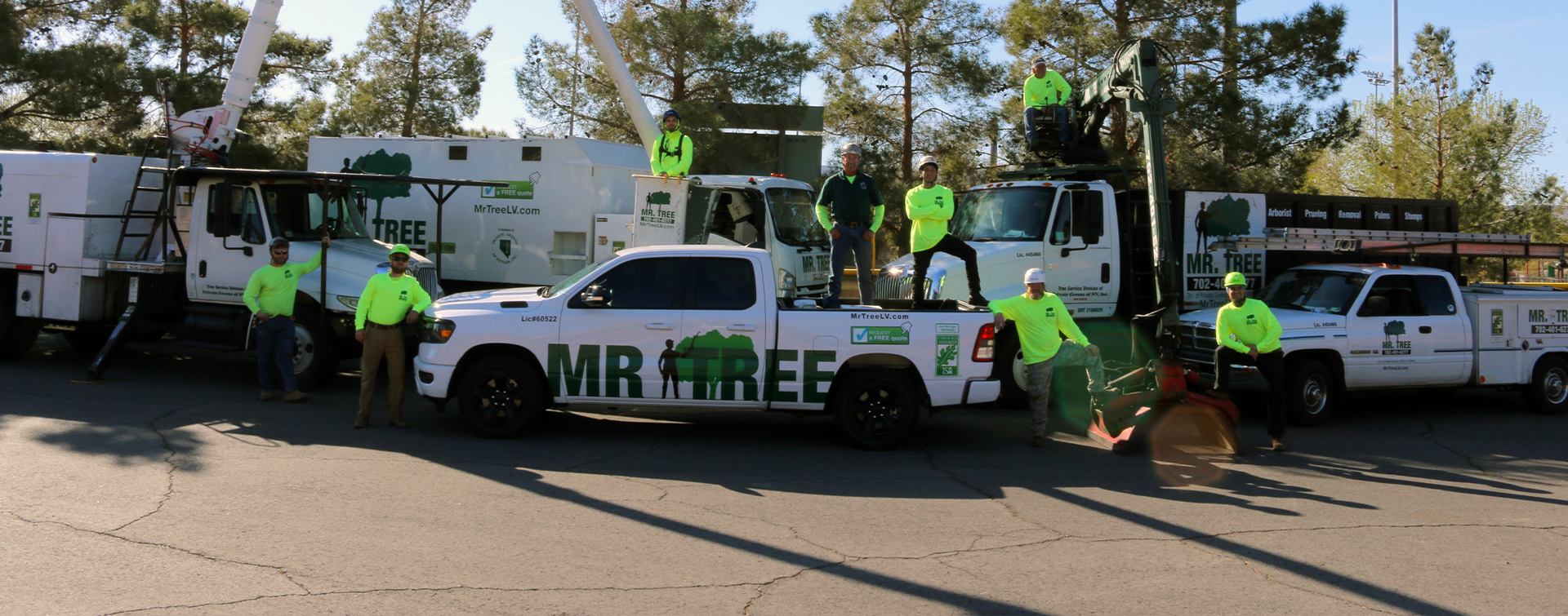 Mre Tree - Tree Service Las Vegas and Henderson Nevada